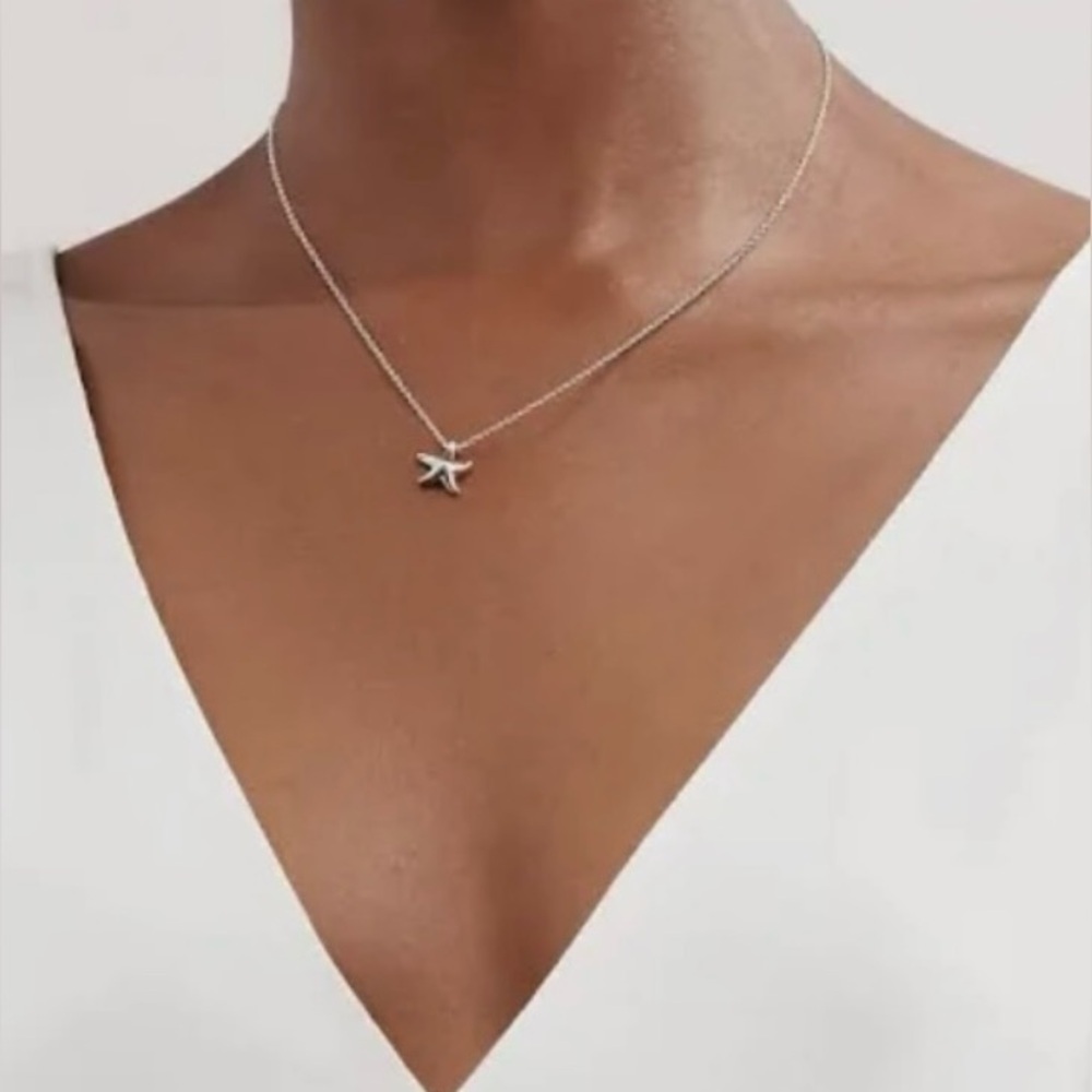 Vintage Tiffany & Co. Elsa Peretti Starfish Necklace – Solid Sterling Silver - Picture 5 of 6